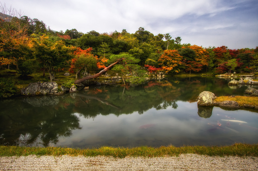 Zen Gardens of Tenryuji Temple - reduce screen time