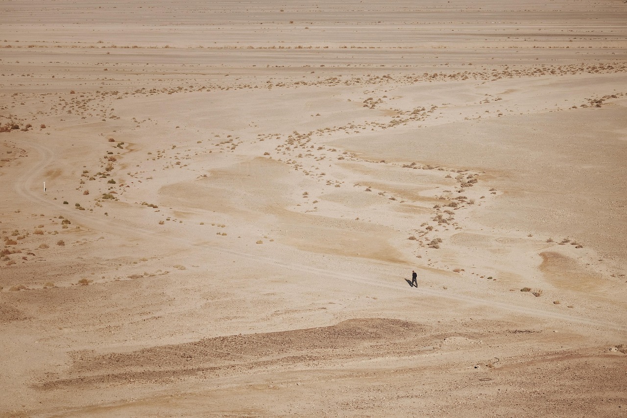 man, desert, walk, lonely, immense, hot, minimalism, 5 plus english, tran thang nhat, desert, desert, desert, desert, desert, lonely, lonely, lonely, nature, lonely