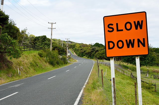 road, sign, asphalt, road sign, roadsign, slow, slow down, slow, slow, slow down, slow down, slow down, slow down, slow down