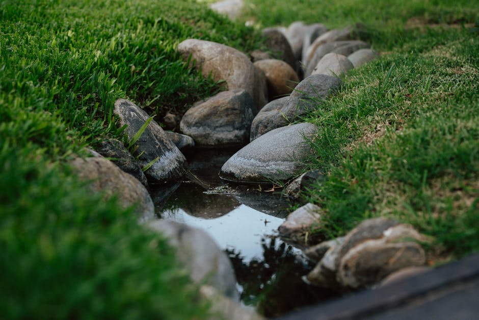 A serene stream surrounded by rocks and lush grass in a Buenos Aires park setting. slow living